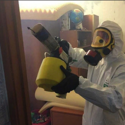Уничтожение клопов в квартире. Ульяновск
